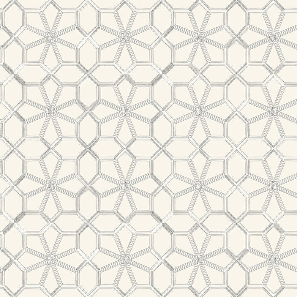 Wolsey Stars Wallpaper by Cole and Son