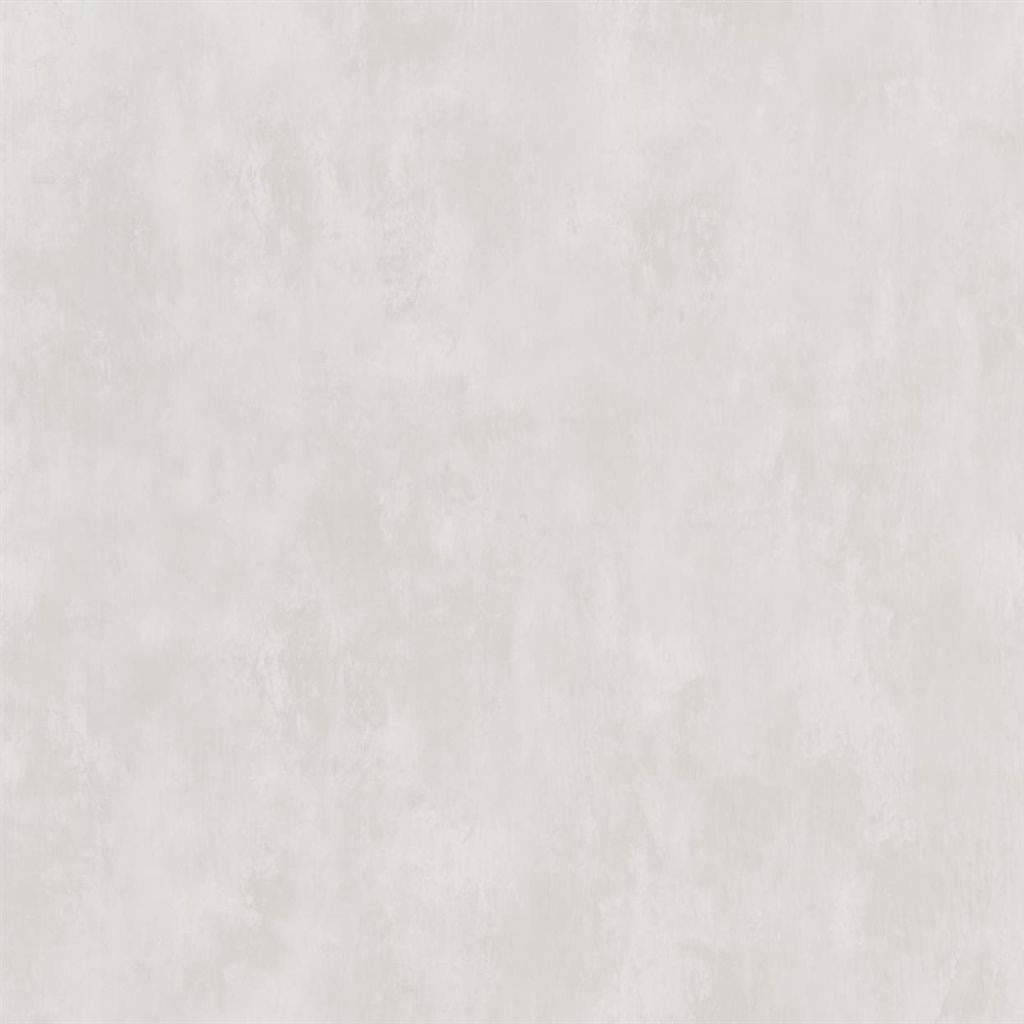 Parchment - Silver Birch Wallpaper