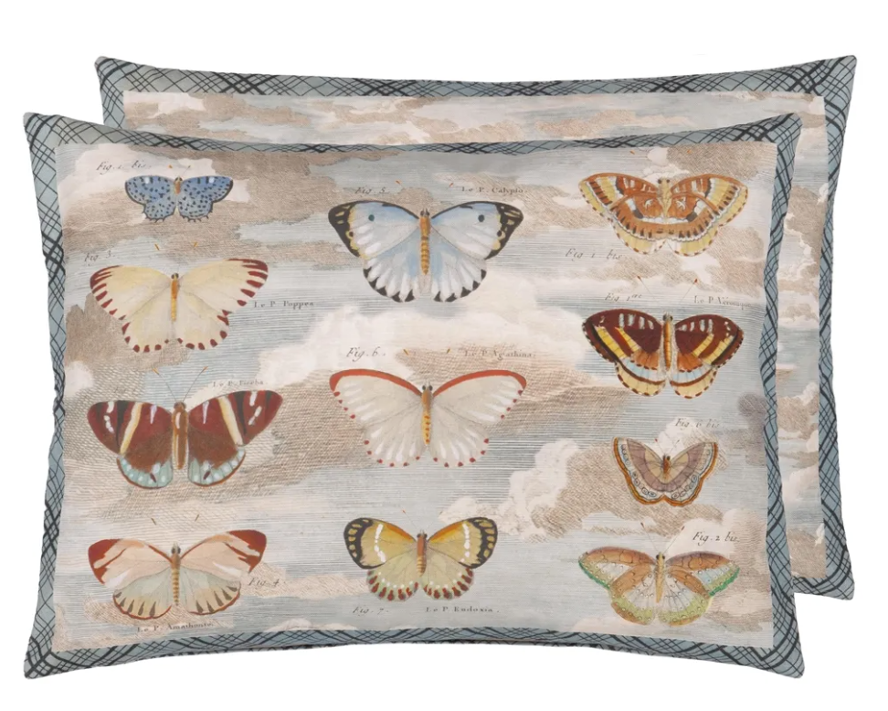 Butterfly Studies Parchment Cushion