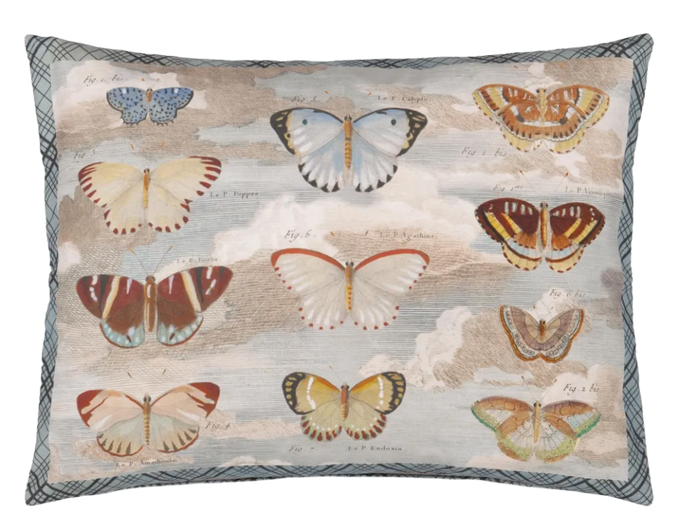 Butterfly Studies Parchment Cushion