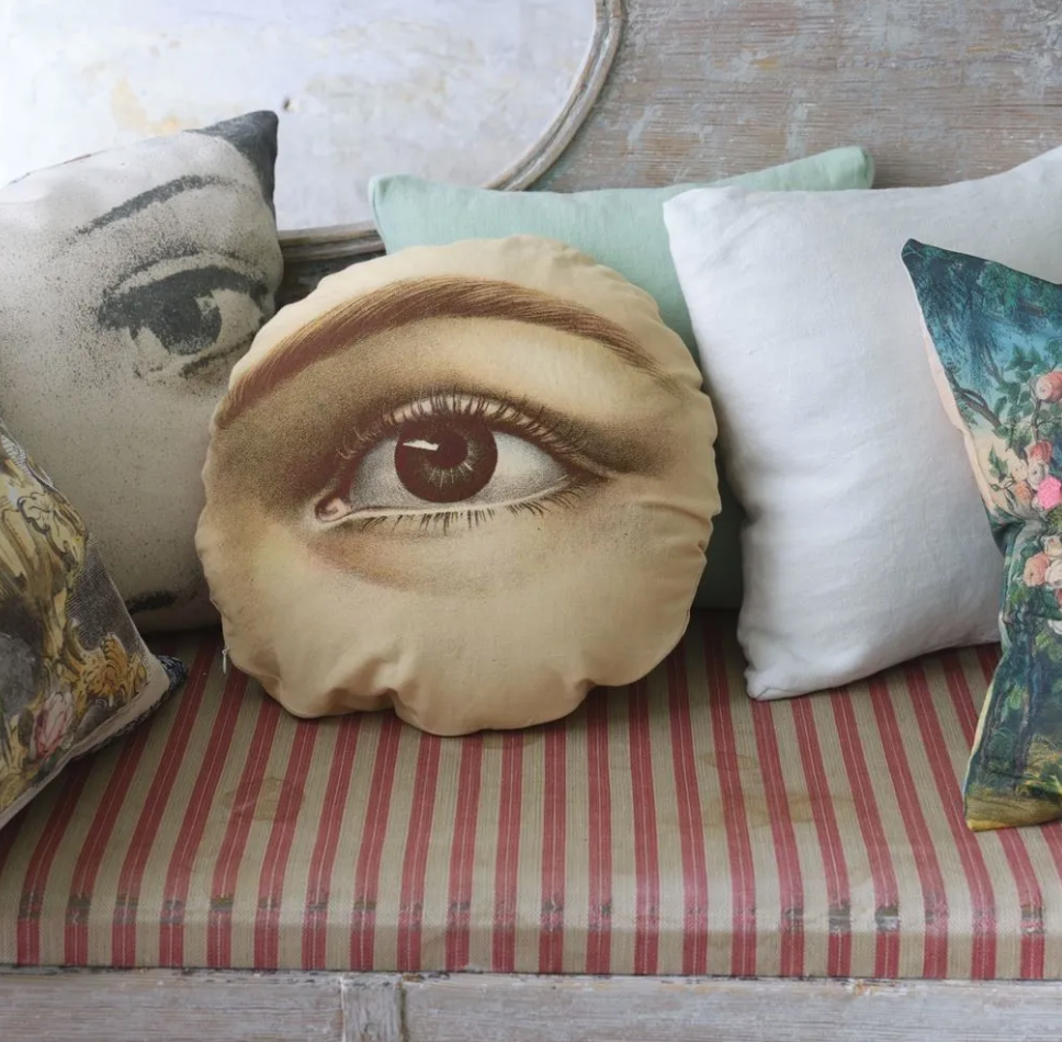 Eye Sepia Cushion