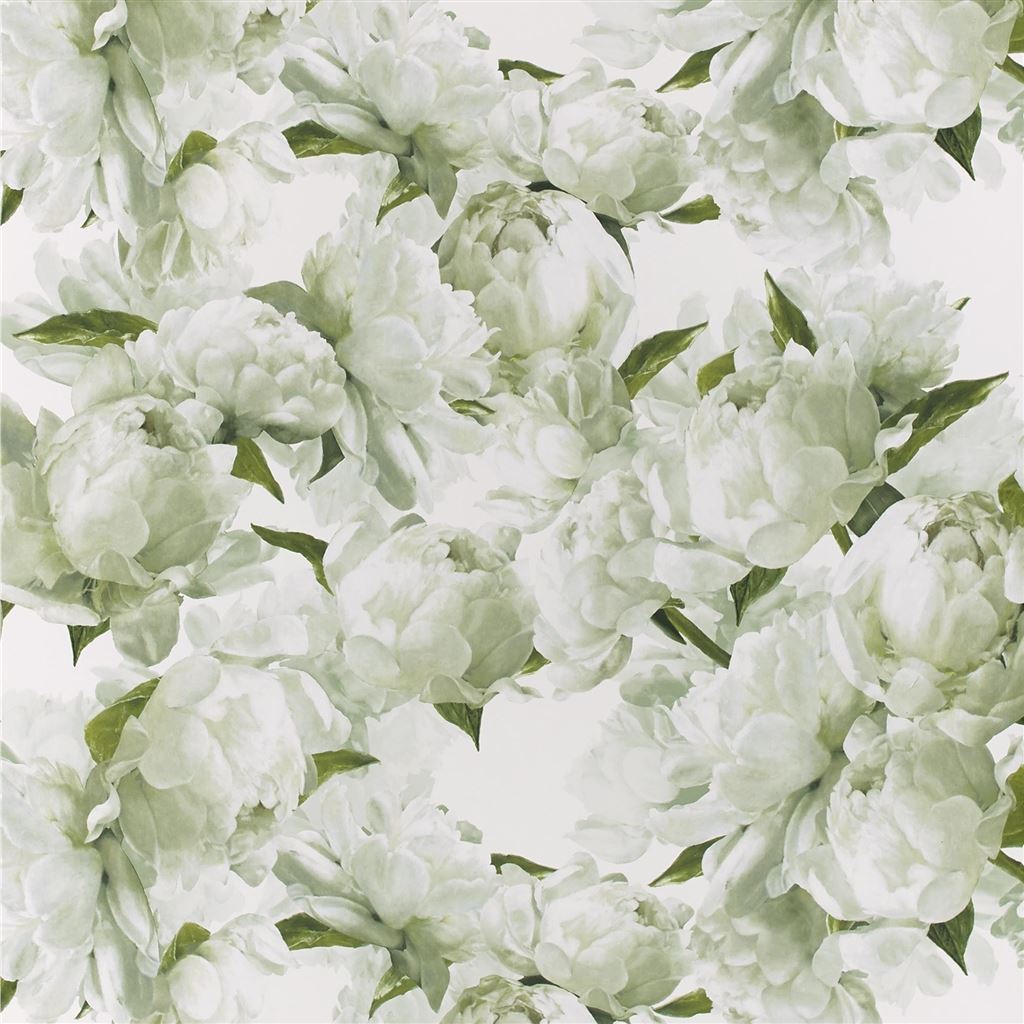 Peonia Chartreuse Wallpaper
