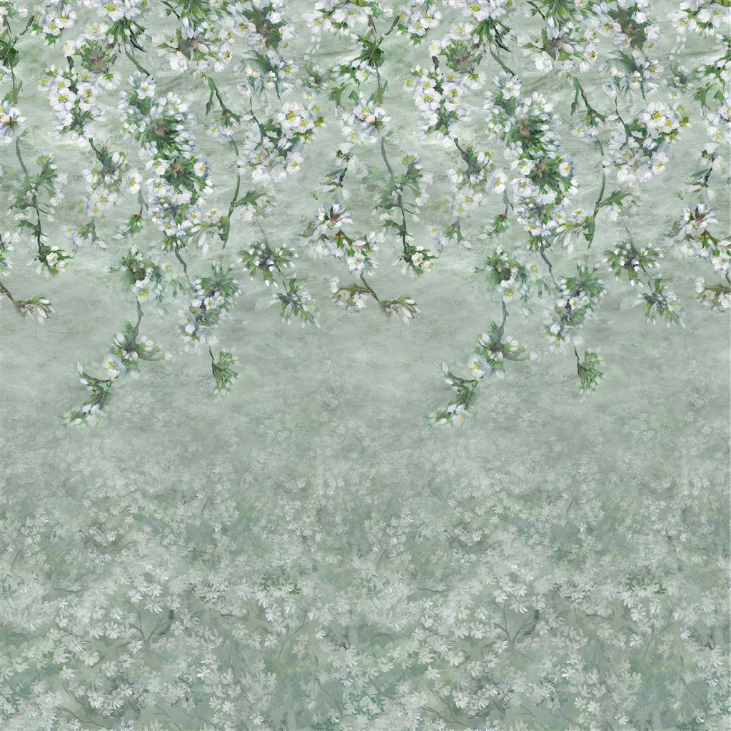 Assam Blossom Sage