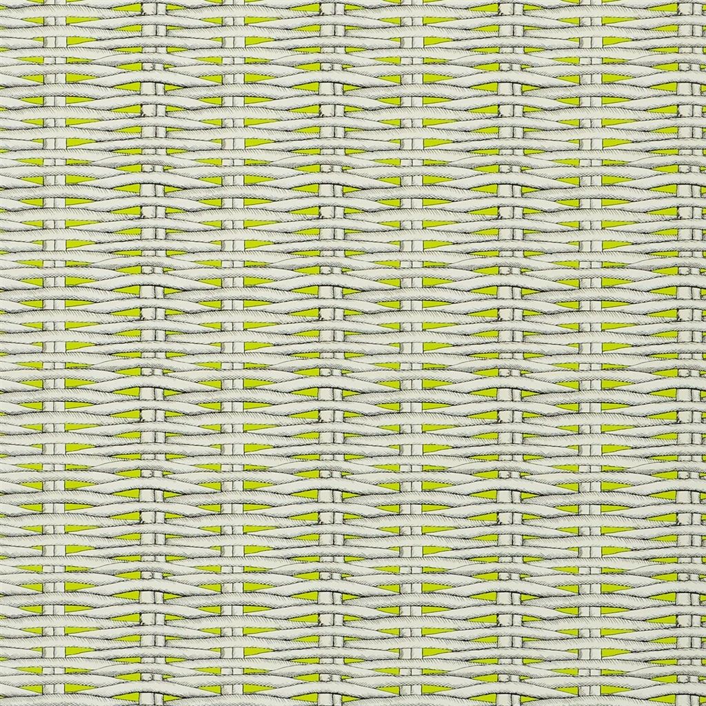 Barbade - Lime Wallpaper Wallpaper