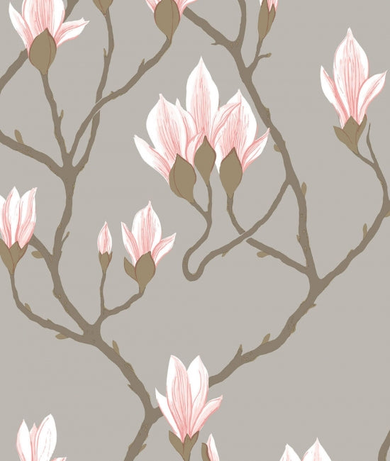 Magnolia 1 The Contemporary Collection