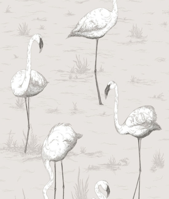 Flamingos 1 The Contemporary Collection