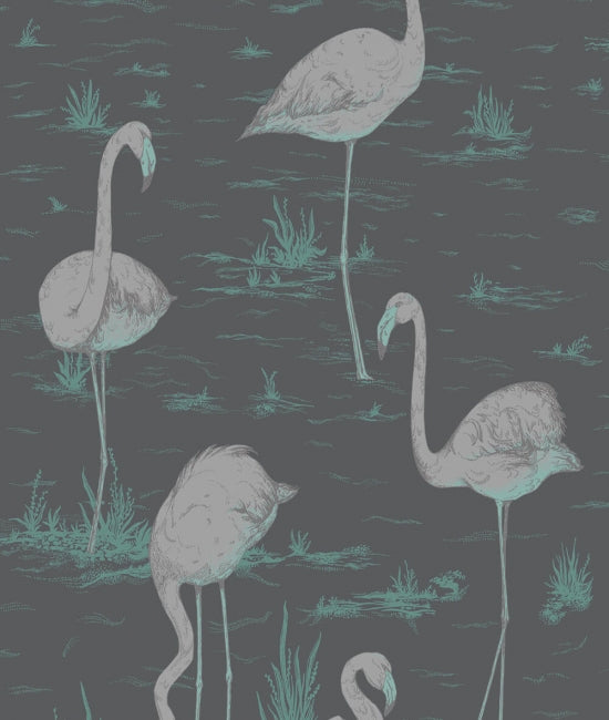 Flamingos 1 The Contemporary Collection