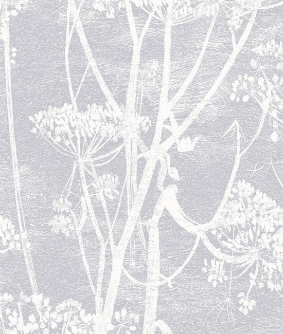 Cow Parsley 3 The Contemporary Collection