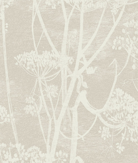 Cow Parsley 3 The Contemporary Collection