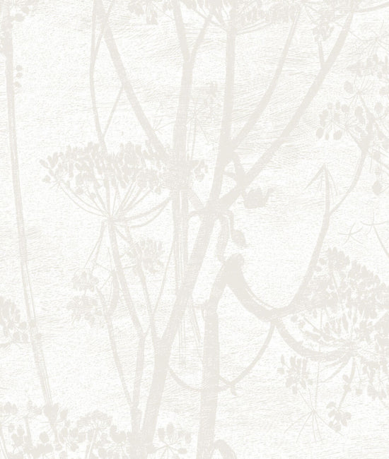 Cow Parsley 3 The Contemporary Collection
