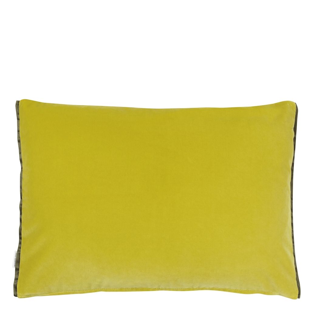 Cassia Alchemilla Cushion