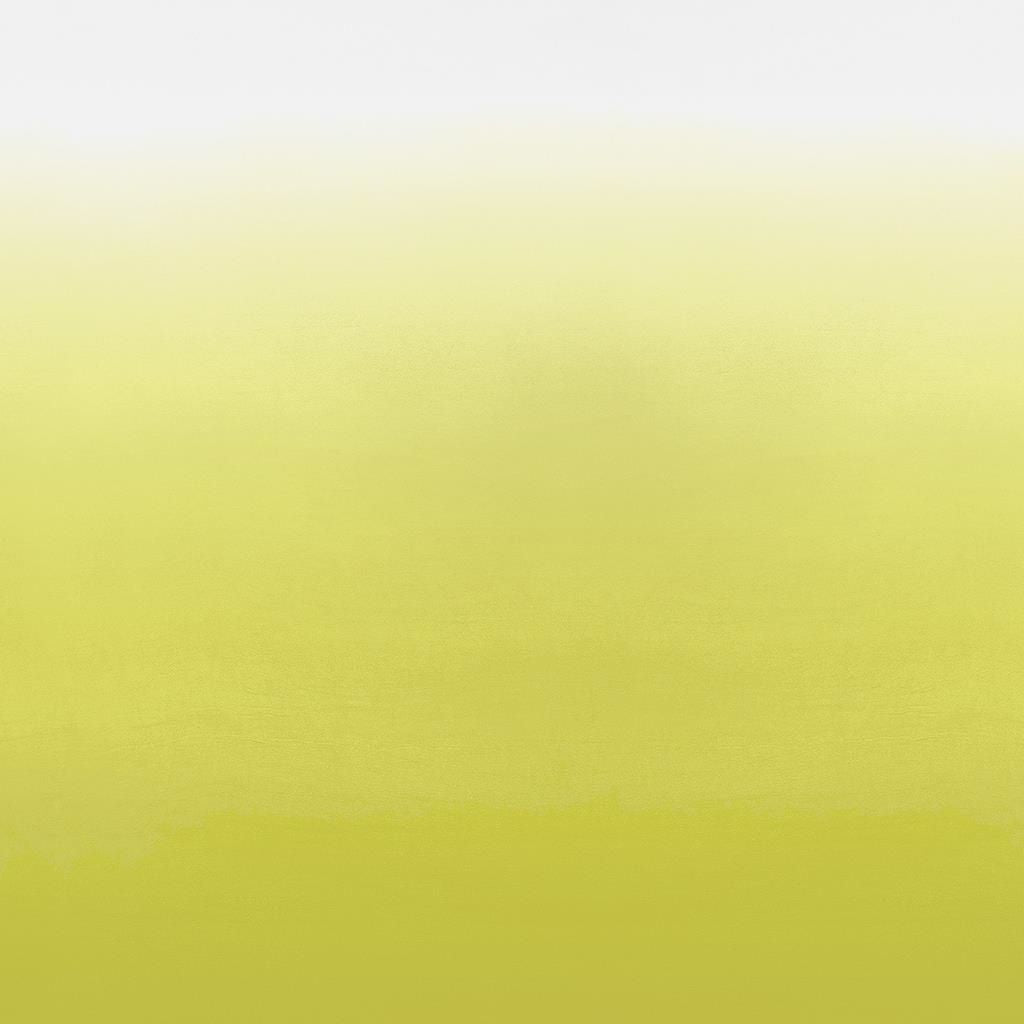Saraille - Acacia Wallpaper