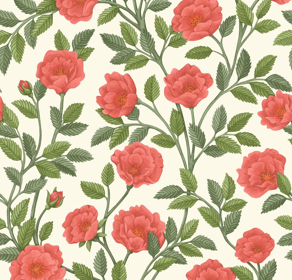 Hampton Roses Wallpaper by Cole and Son