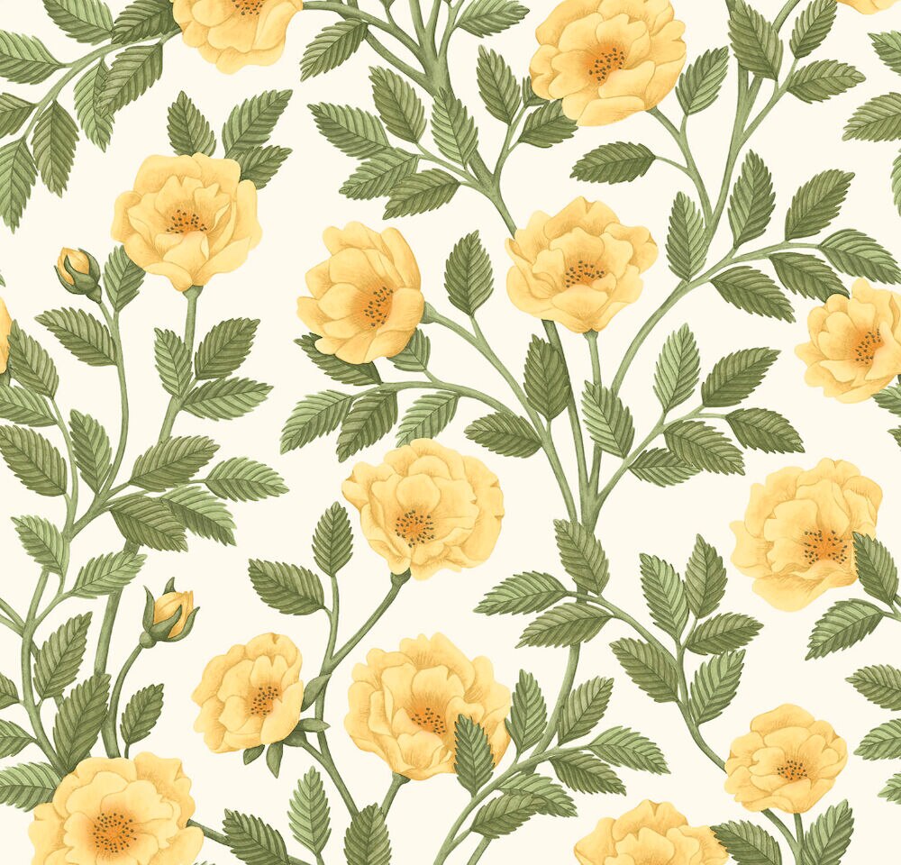 Hampton Roses Wallpaper by Cole and Son
