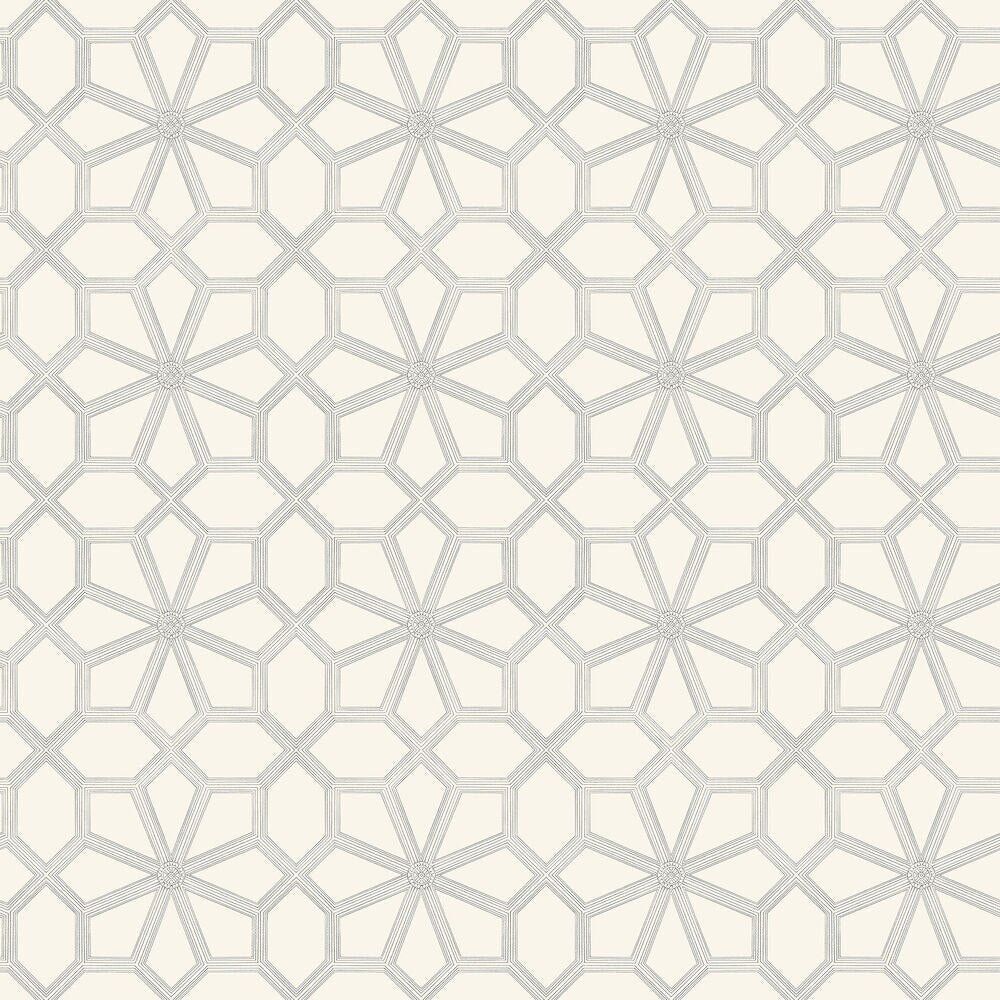 Wolsey Stars Wallpaper by Cole and Son