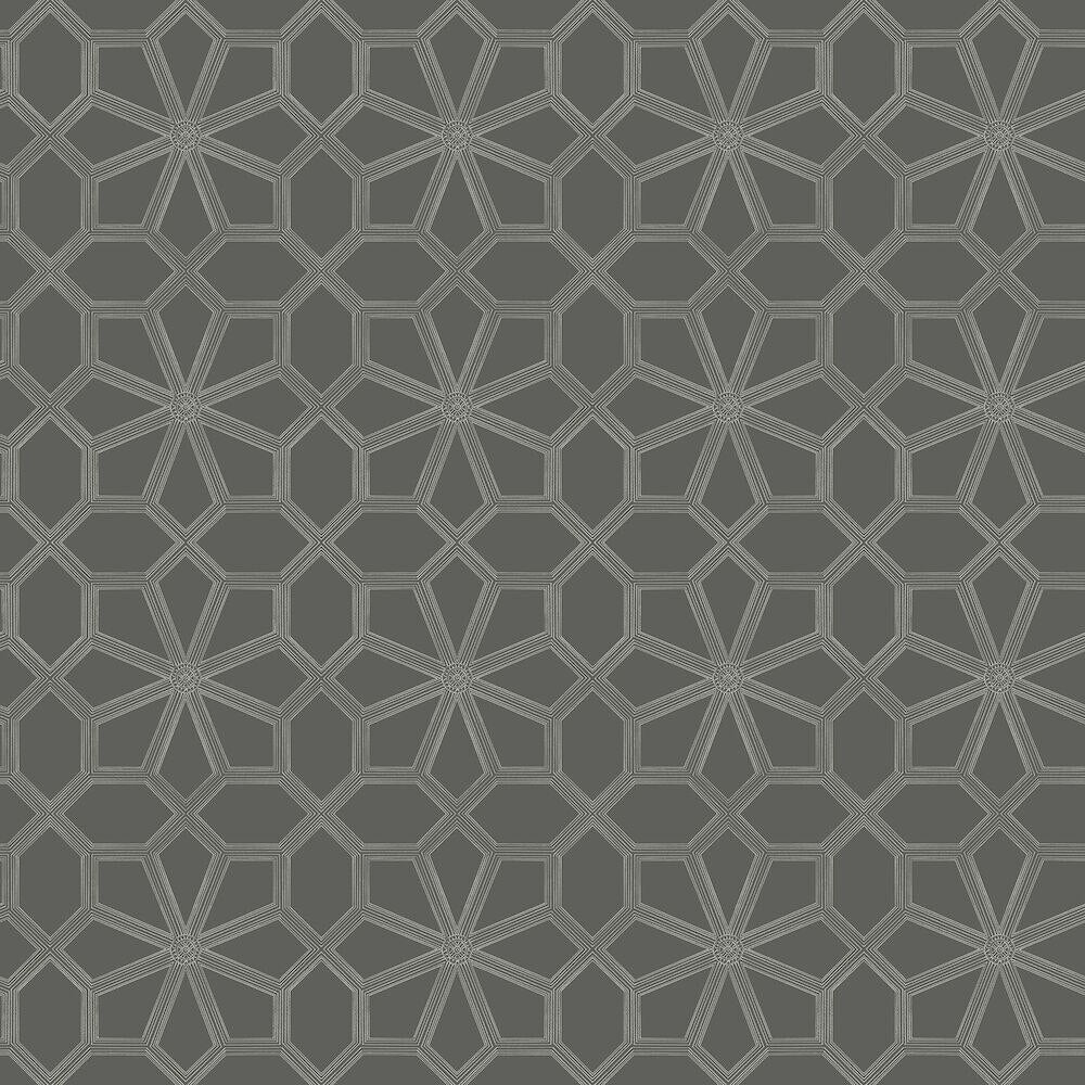 Wolsey Stars Wallpaper by Cole and Son