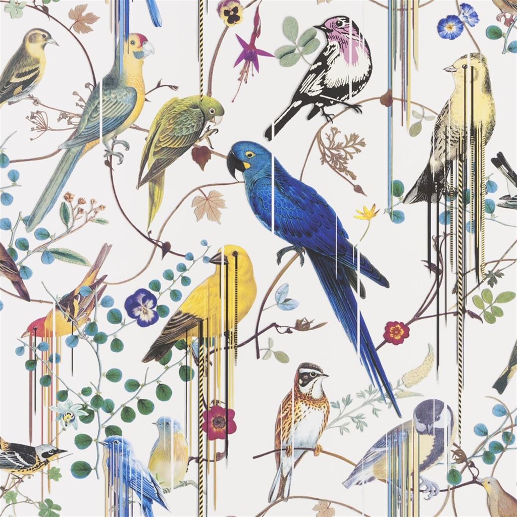 Birds Sinfonia Perce Neige Wallpaper